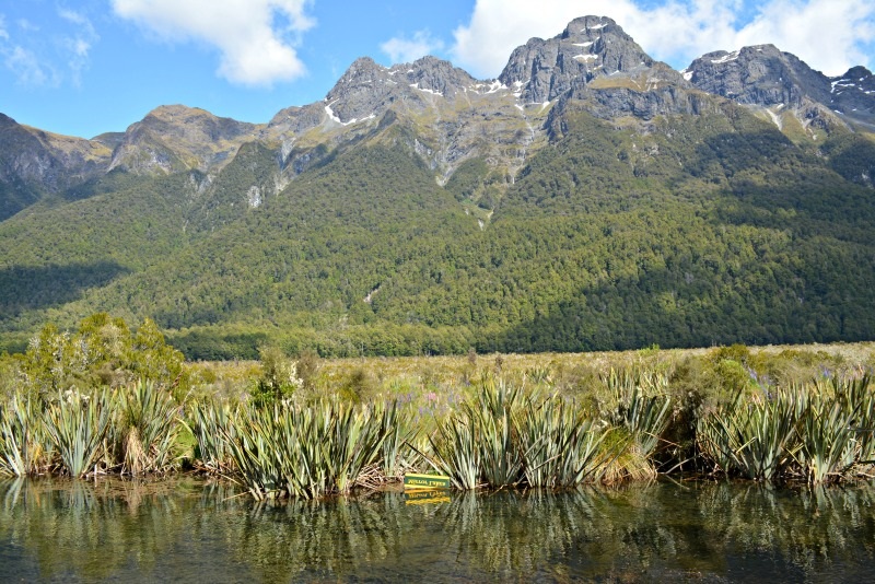 Way-to-Milford-Sound-Mountain-Range