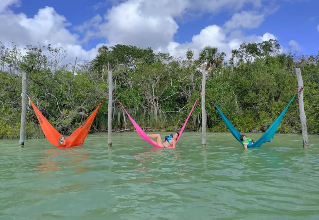 This image has an empty alt attribute; its file name is screenshot_20220226-232220.jpg